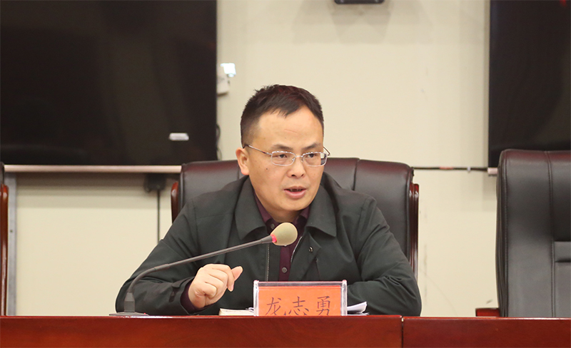 县政府办直属机关党委书记,政府办党组书记,县政府办主任龙志勇上党课