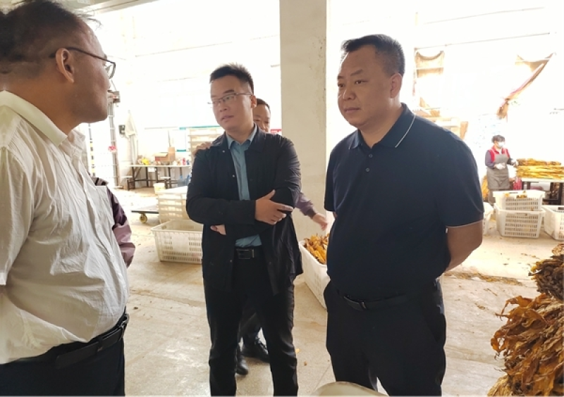 欧万海深入收购一线调研烟叶收购工作